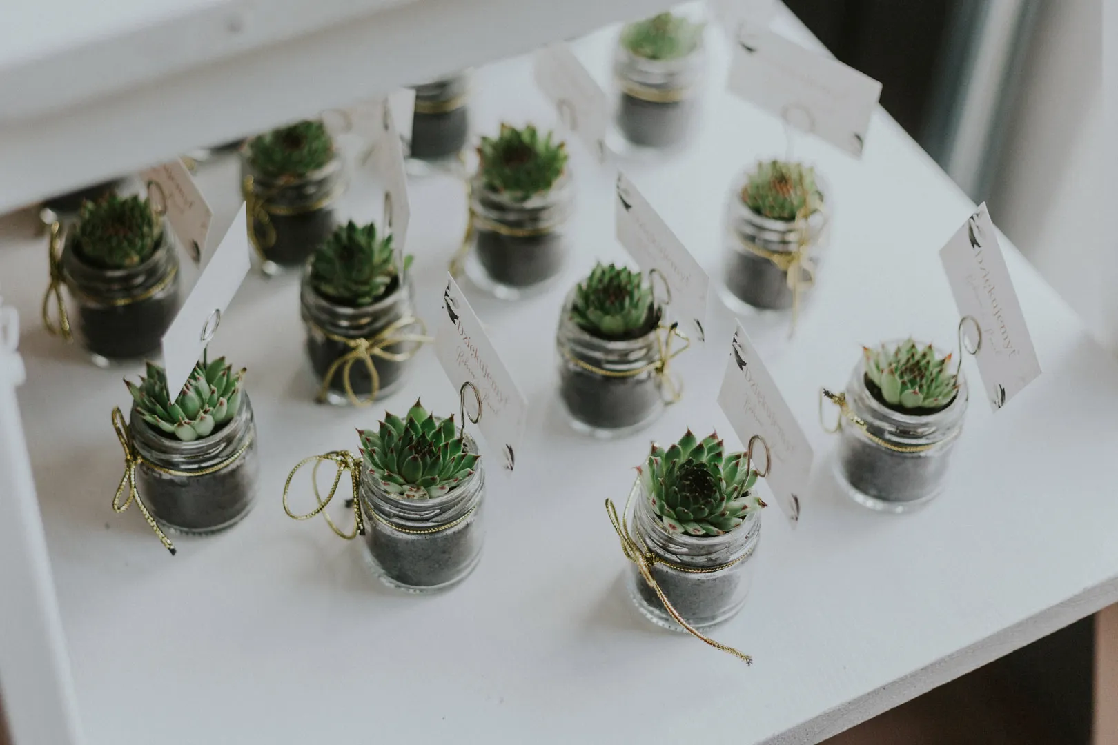 Roksana i Paweł - Roksana-i-Pawel-8